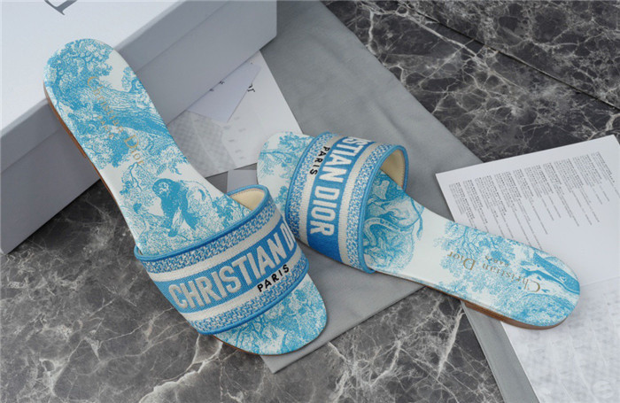 D1R* SLIDE copshoe DR-213