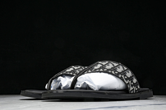 D1R* SLIDE copshoe  DR-SLIDE 015