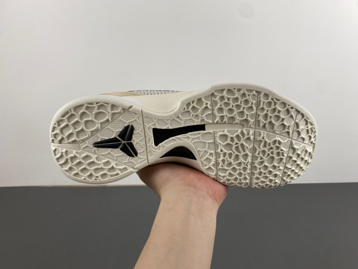 Kobe 6  PE2024-001
