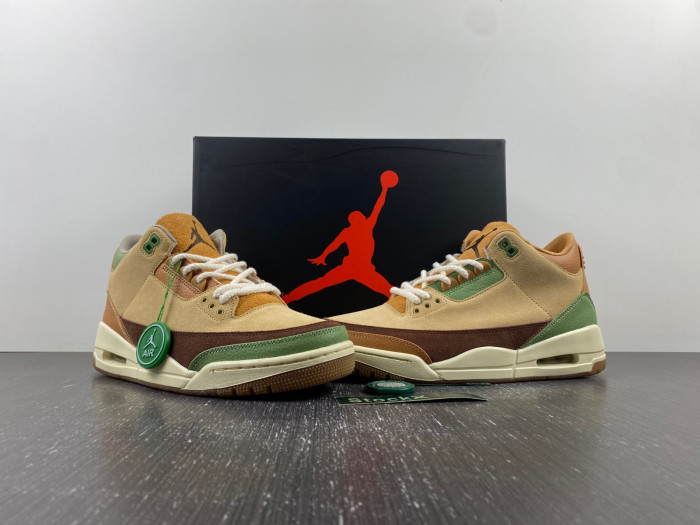Air Jordan 3  retro CT8532-160